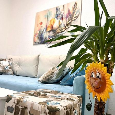 פוצ'ה M Apartman מראה חיצוני תמונה