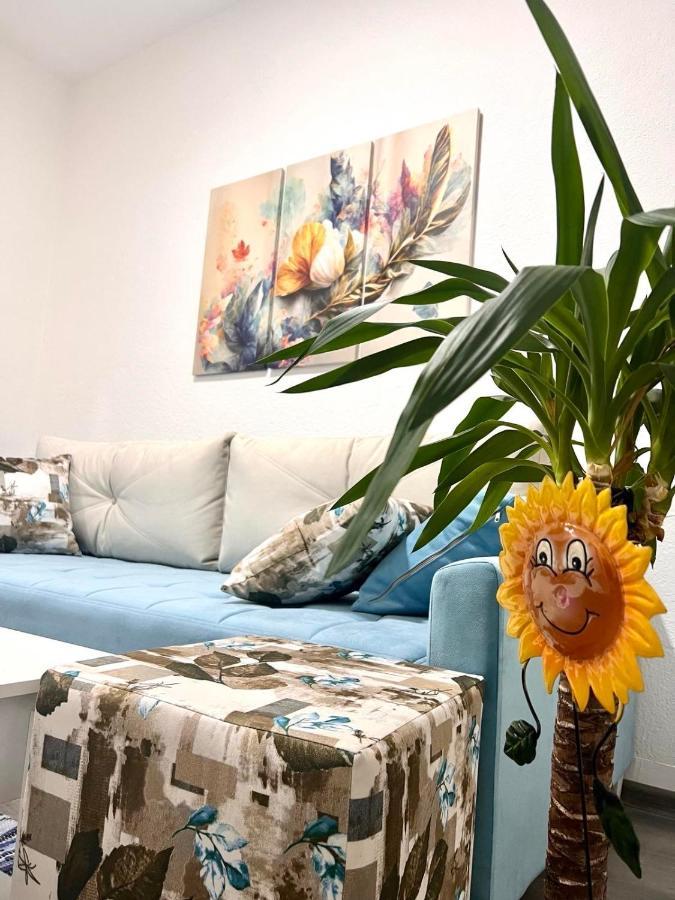 פוצ'ה M Apartman מראה חיצוני תמונה
